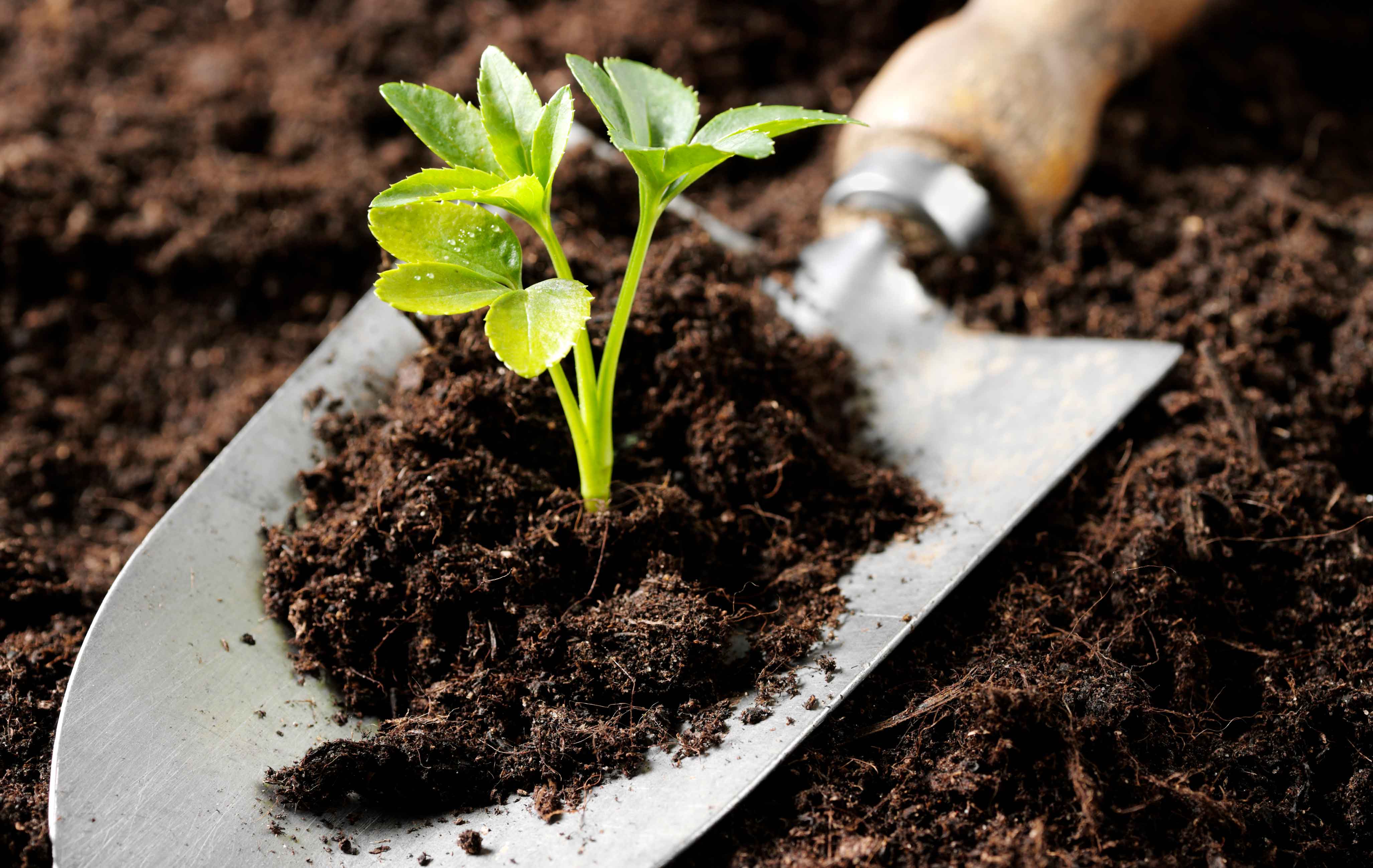 soil-pollution-definition-causes-types-effects-q-a-for-soil